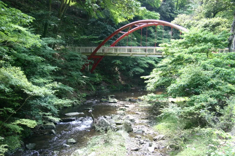 「箕面の滝」の上流付近で見られる吊り橋の架かる渓流