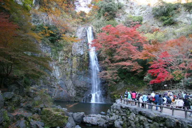 秋になると滝周辺の木々が色鮮やかに紅葉
