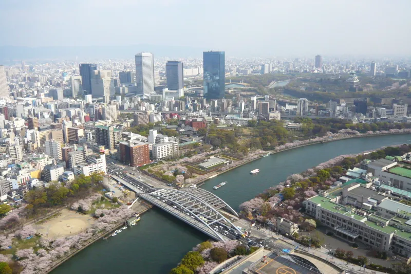 展望フロアからの景色。大阪城(右上)、造幣局の桜(右下)