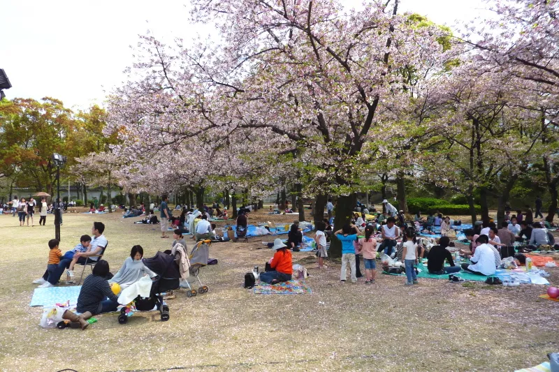 春になると多くの花見客が訪れる桜の名所としても有名