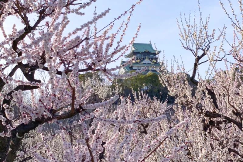 大阪城の天守閣も見えるため、写真を撮るにもピッタリ