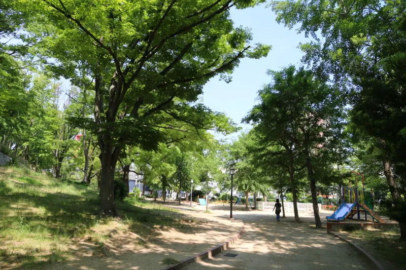 遊歩道やベンチも整備され、緑の多い園内