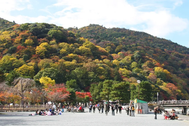 秋になると公園周辺の山は鮮やかに色付くため、紅葉が綺麗