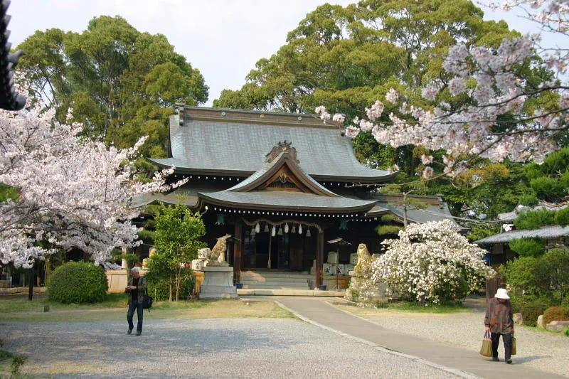 春には桜も咲く姫路神社