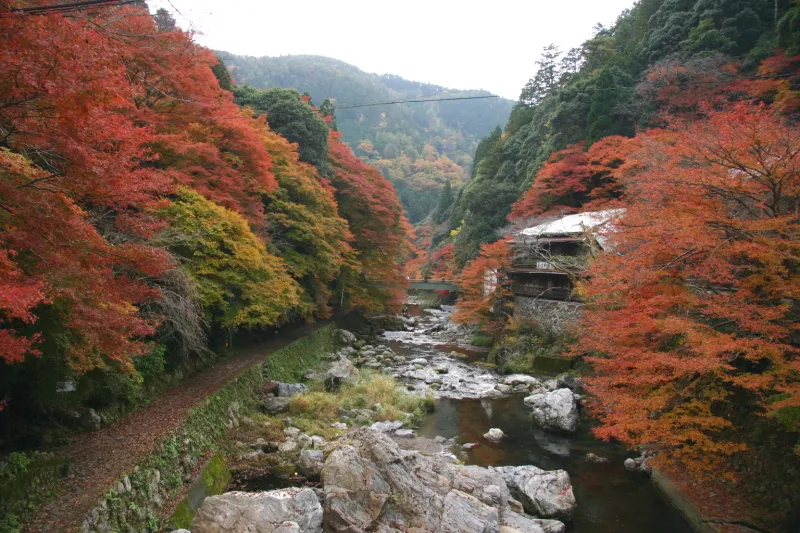 周りを山に囲まれる清滝は紅葉の名所として有名