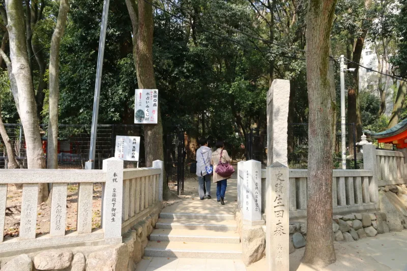 パワーポイントとして注目されている本殿の奥にある「生田の森」