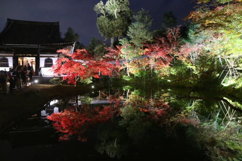 高台寺のライトアップで有名になっている池に映り込む紅葉