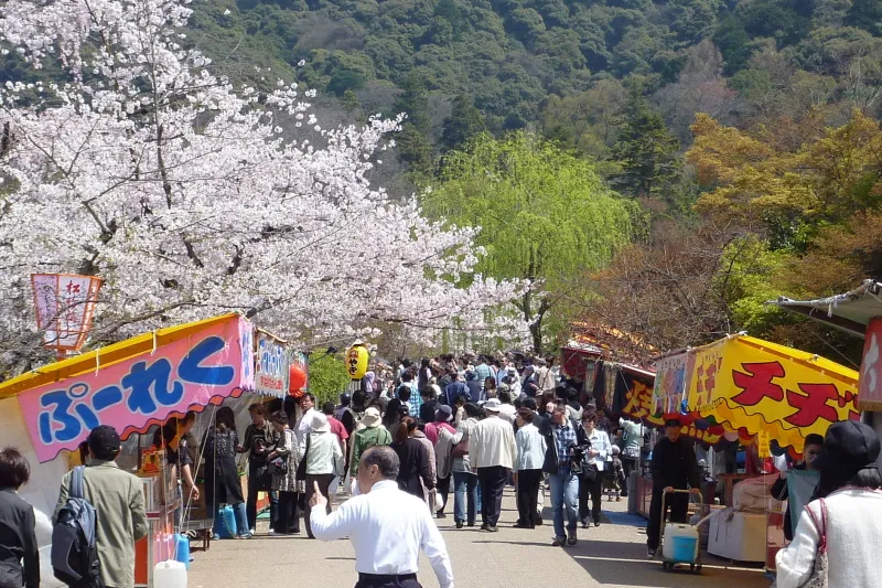 春になるとたくさんの人が訪れる桜の名所