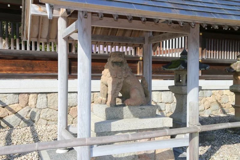 国の重要文化財に指定される鎌倉時代に造られた狛犬