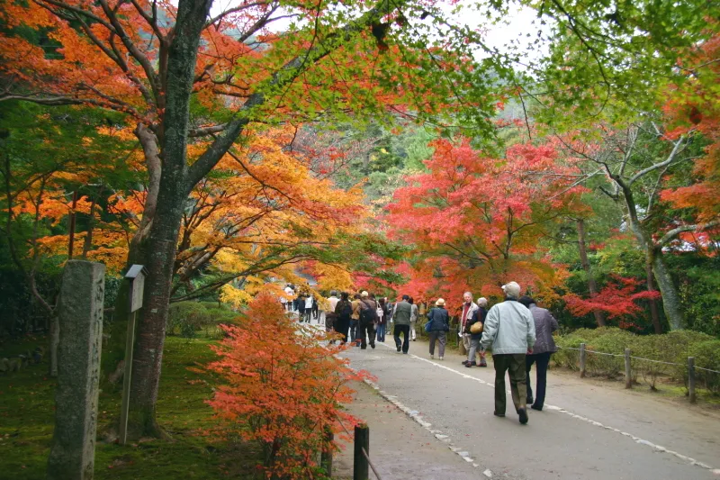 秋になると綺麗に色付く紅葉の名所となっているお寺