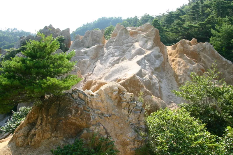 木々の生えない岩が露出しているピラーロック