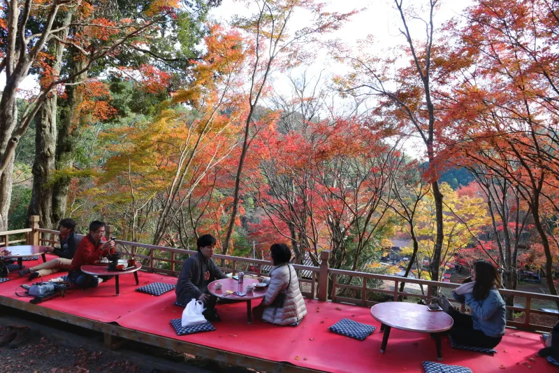 紅葉の季節は絶景が眺められる特等席
