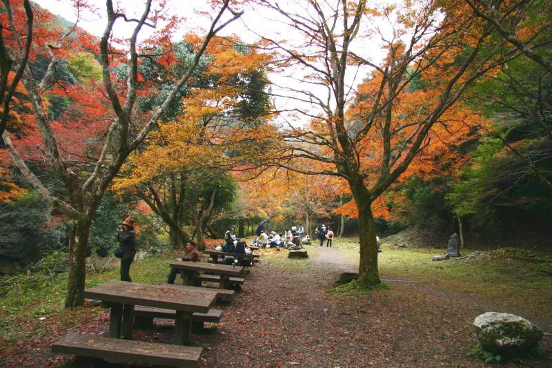 秋は随所で紅葉を見ることができベンチも完備