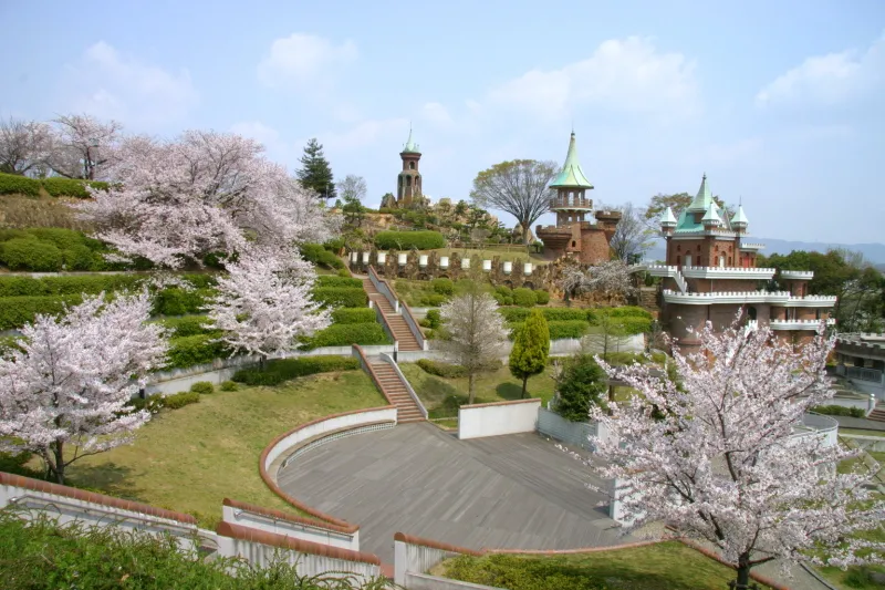 広い園内の随所に桜が咲き人気のお花見スポット