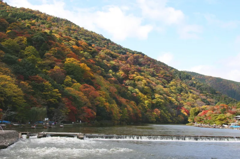 秋には山全体が鮮やかに色付く橋の上から見た紅葉