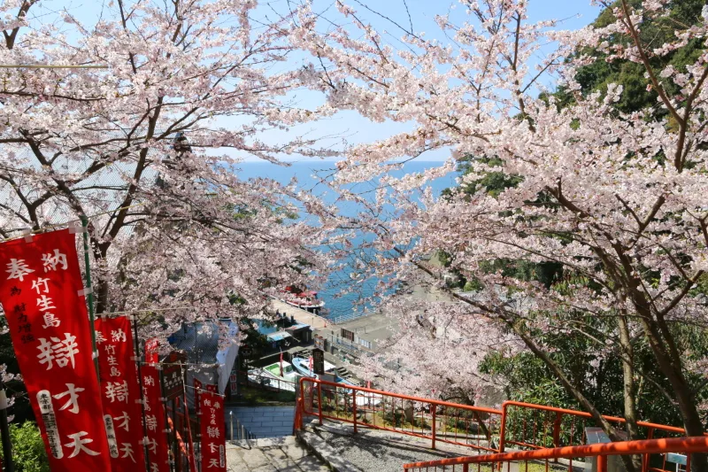 春に訪れると境内は桜が咲き誇り、満開の参道