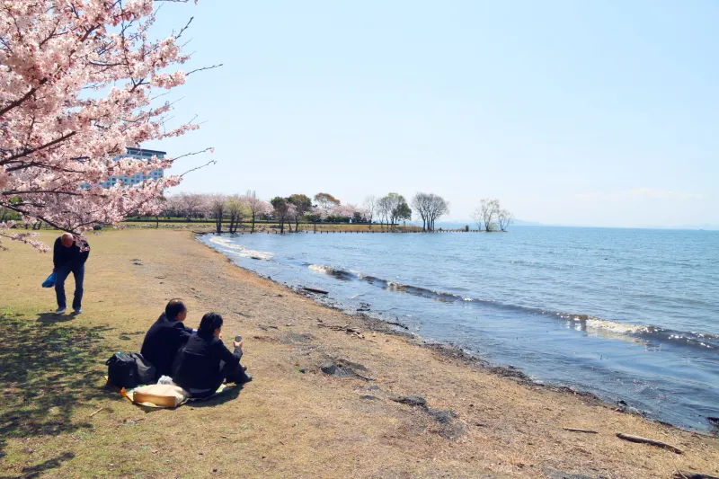 目の前には琵琶湖が広がり、のんびり景色を眺められる場所