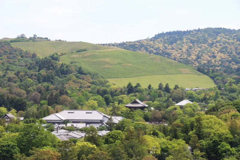 若草山も綺麗に眺められ、奈良公園周辺の観光名所を一望