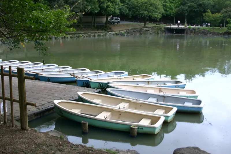 のんびりとボート遊びができるように池には貸ボートも完備