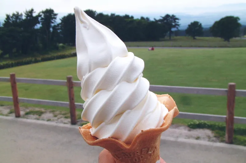 ソフトクリームは白バラ牛乳を使用した大人気の商品 