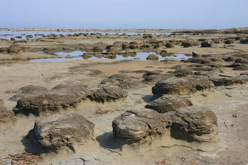 海岸のいたる所で見られるノジュール(団塊)と呼ばれる丸い岩