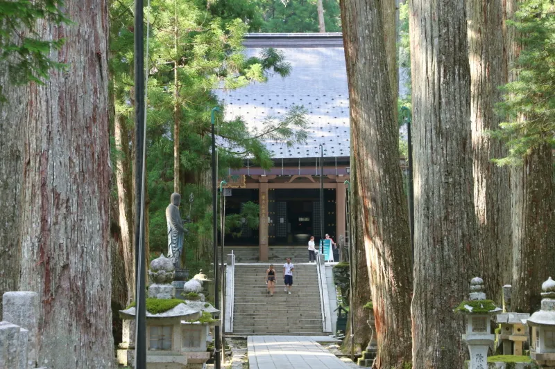 木々の間から見える燈籠堂。建物の奥が弘法大師をまつる御廟
