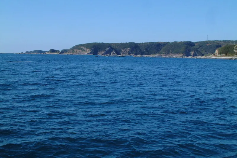 観光船から眺める太平洋は青く、どこまでも続く雄大な景色