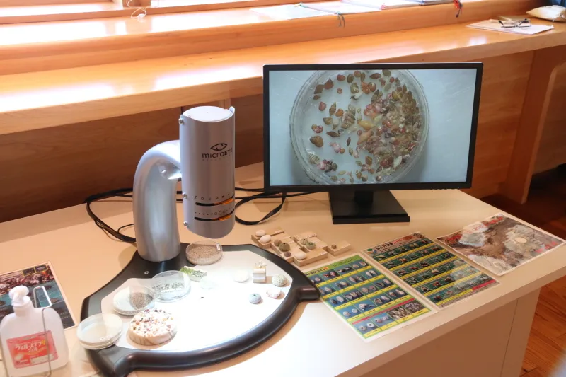 様々な貝殻を拡大して観察できる顕微鏡コーナー