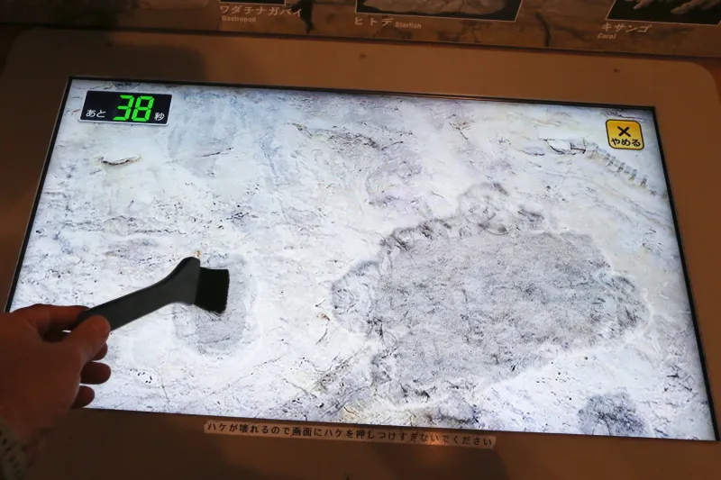 ハケを使い液晶画面の地層を掘る化石の発掘体験