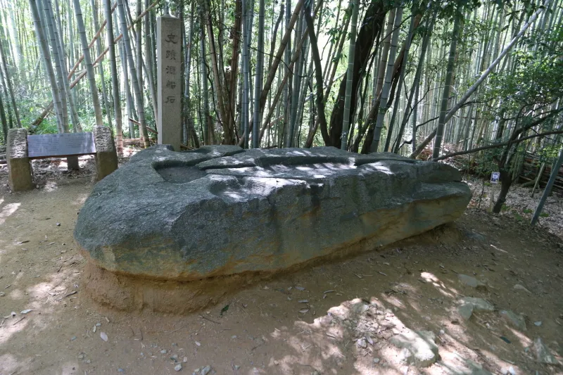 竹に覆われた山の中に置かれている酒船石 