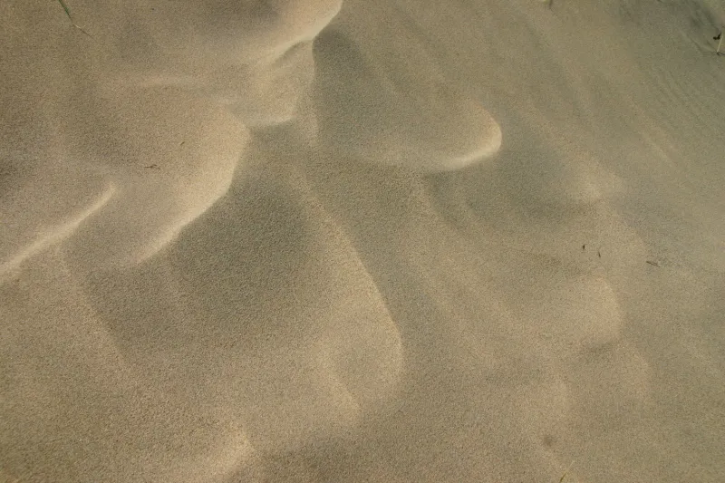 風紋と呼ばれている強風が造り出す砂の模様