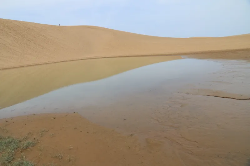 かなり大きな水溜まりが現れ、砂丘の風景にとけ込む光景
