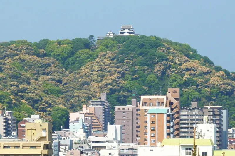 西方向の山頂に見える松山城の天守閣