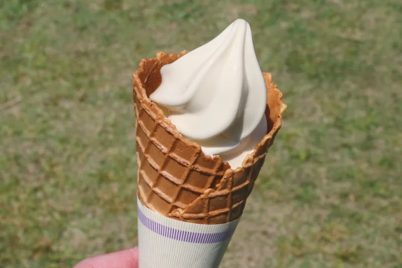 ソフトクリームは少し黄色をしていて生乳１００％の濃厚な味