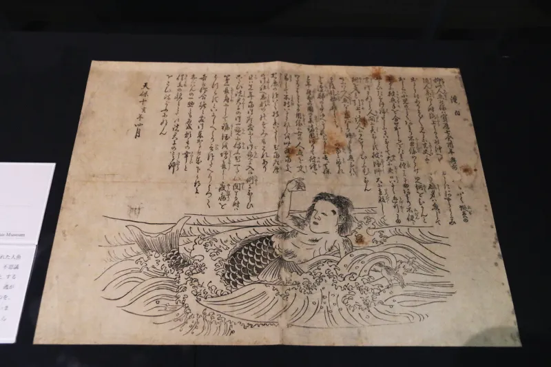 １７５７年に北海道で漁師の網に入ったと言われている人魚の姿