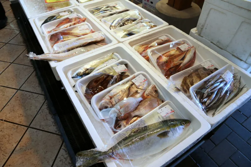 地元漁港に水揚げされた魚介類は新鮮でお手頃価格