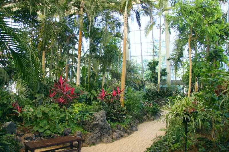 大きな温室も完備し、南国の植物を一年中、見ることが可能