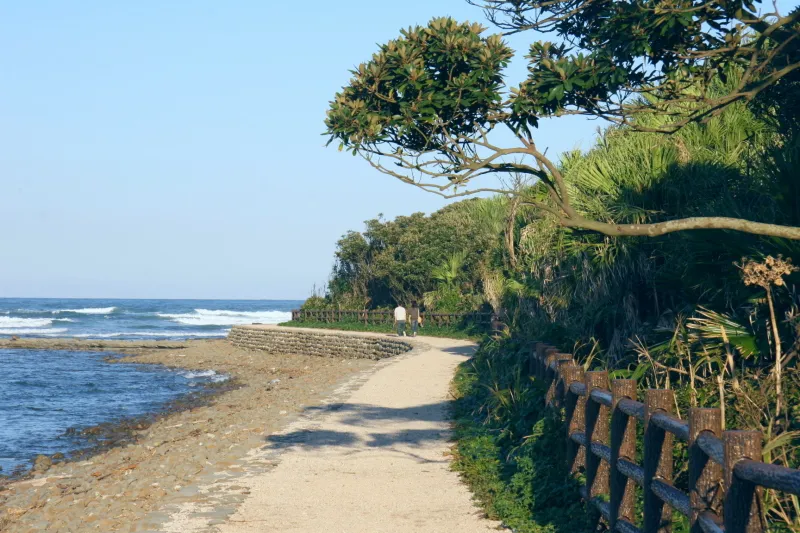 青島の周囲は遊歩道が整備され、海を眺めながら自然散策が可能