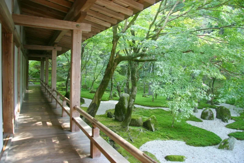 別名「苔寺」と呼ばれるほど美しい庭があることで有名