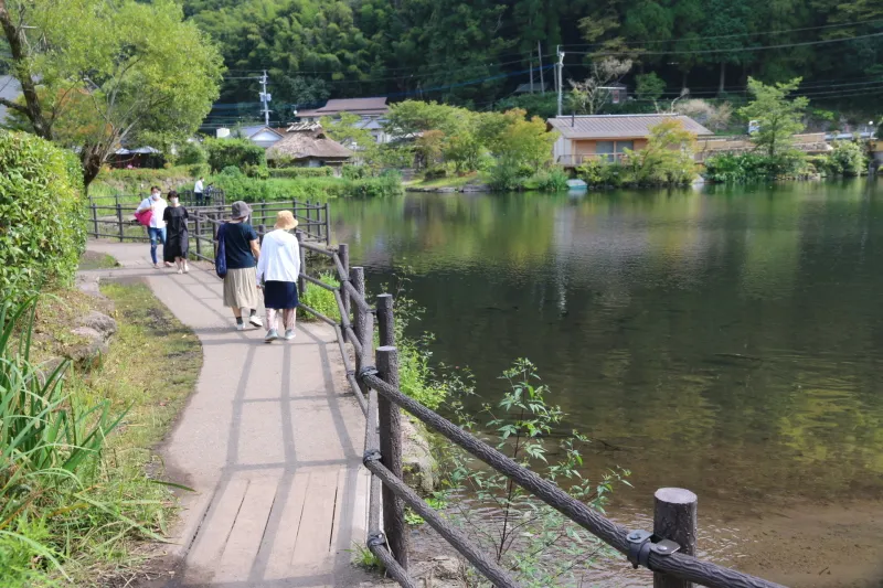 湖の周りには遊歩道が整備され、景色を眺めながら散策が可能 