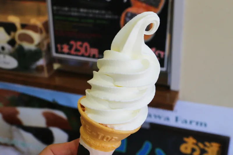 黒沢牧場の１番人気となっているソフトクリーム