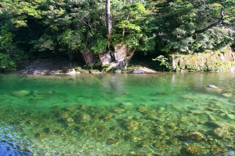 「小杉谷」あたりを流れる川は美しいエメラルドグリーン