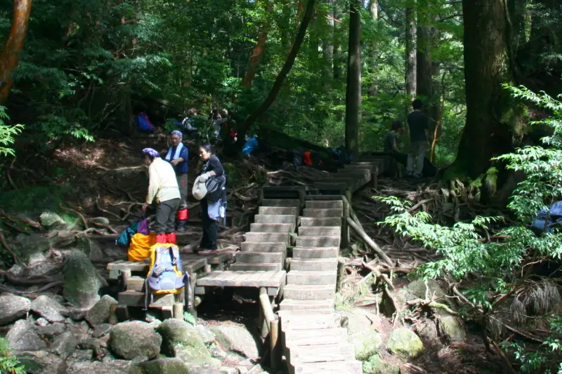 急坂や階段の続く中、休憩スペースが限られている登山道
