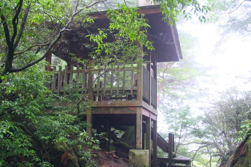 縄文杉から７０ｍほど離れた所にあり、雨の日に重宝する屋根付き休憩所