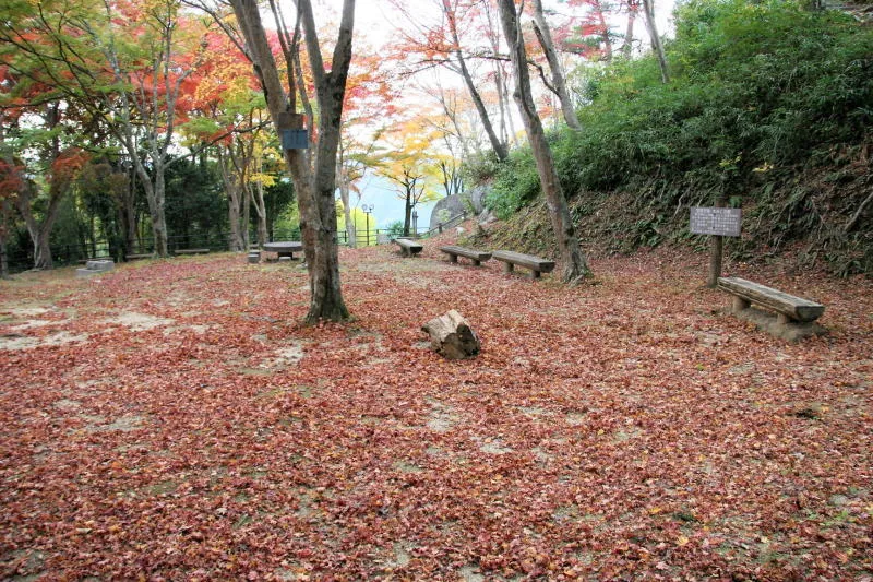 地面に目を向けると公園全体が落ち葉のじゅうたん