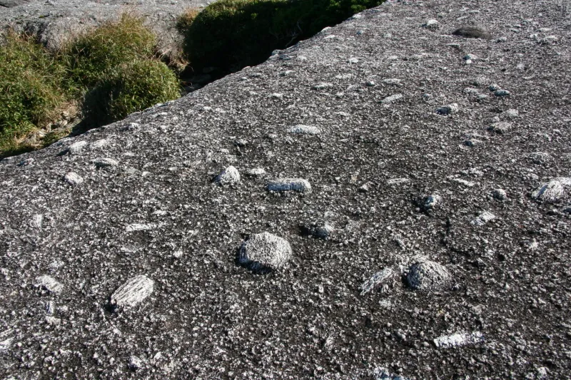 岩の表面に白い正長石が見られる屋久島独特の花崗岩