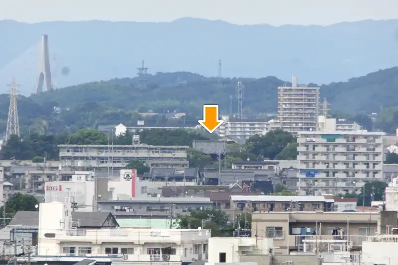 徳川家の菩提寺となっている大樹寺