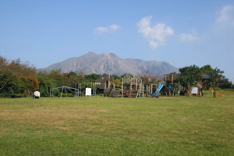 噴煙を上げる御岳が目の前に見える桜島自然恐竜公園