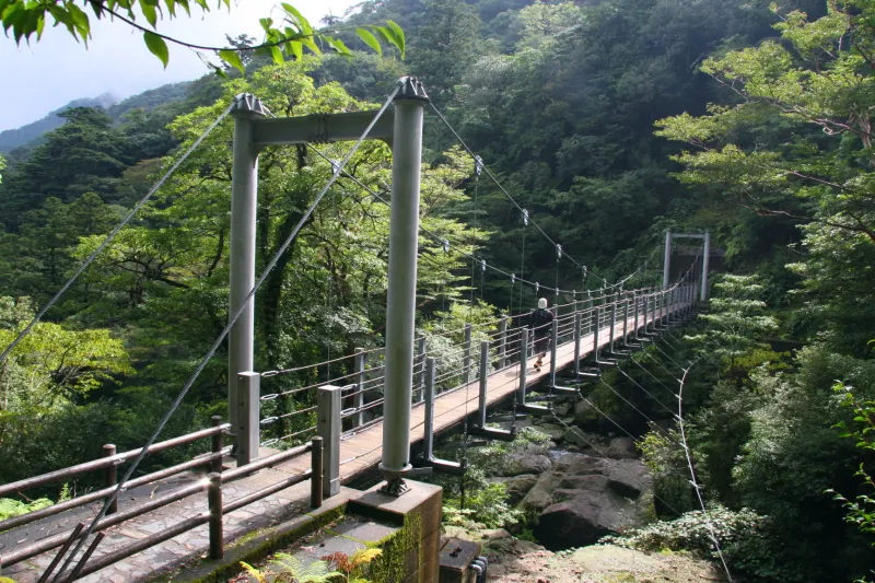 吊り橋・遊歩道・登山道が整備され、自然散策のできる場所