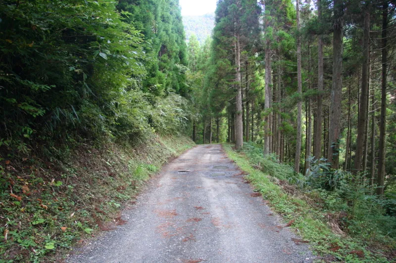 北谷登山口へ乗り入れる林道は幅の狭い砂利道